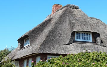 thatch roofing Burpham